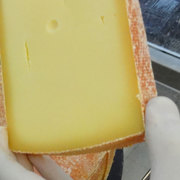 HArtkäse Laib schneiden / portionieren mit der Käseschneidemaschine von PRINZ